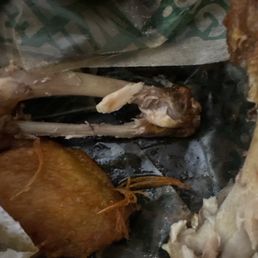 Feathers in the 10 pc Wing Combo