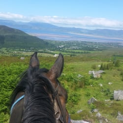 Killarney Riding Stables