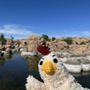 Photo of Watson Lake