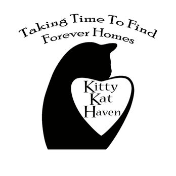 kitty Kat Haven - Pet Adoption Near Me kitty Kat Haven - Pet Adoption Near Me
