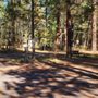Photo of Walt's RV Park
