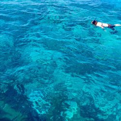 Strike Zone Charters - Looe Key snorkeling