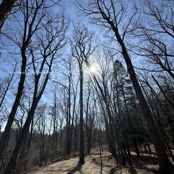 Saugatuck Dunes State Park - Parks Near Me - Holland, Michigan Saugatuck Dunes State Park - Parks Near Me - Holland, Michigan