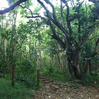 Likeke Falls - Hiking Near Me - Honolulu, Hawaii Likeke Falls - Hiking Near Me - Honolulu, Hawaii