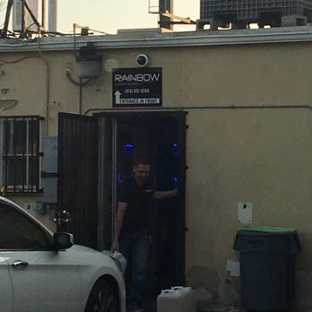 Rainbow Aquarium and Pond - Theif - Aquarium Services Near Me - Arleta, California