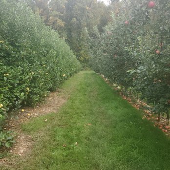 Larriland Farm - Apple orchard - Fruits & Veggies Near Me - Woodbine, Maryland