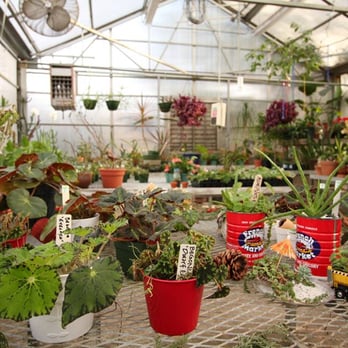 Skyland Trail - Horticultural Therapy - Counseling & Mental Health Near Me - Atlanta, Georgia Skyland Trail - Horticultural Therapy - Counseling & Mental Health Near Me - Atlanta, Georgia