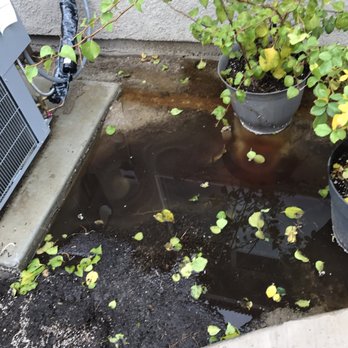 Curb Creators - Masonry/Concrete Near Me Curb Creators - Masonry/Concrete Near Me