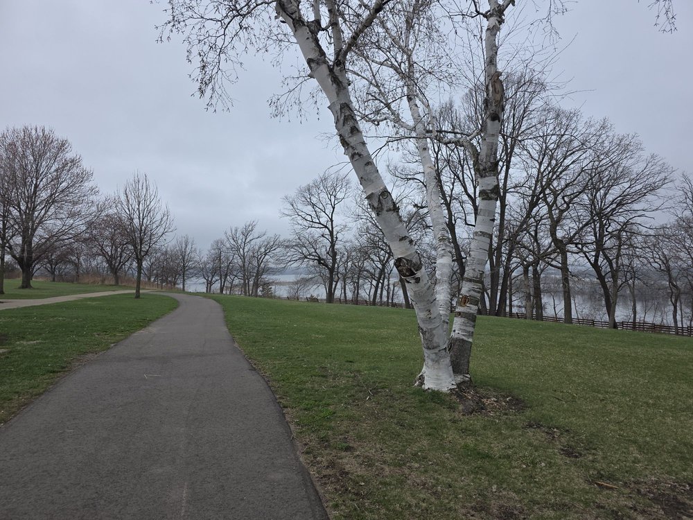 Spring Lake Park Reserve Logo