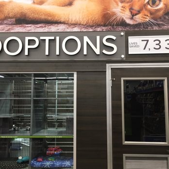 PetSmart - They have a beautiful adoption center for cats! - Pet Training Near Me - East Aurora, New York PetSmart - They have a beautiful adoption center for cats! - Pet Training Near Me - East Aurora, New York