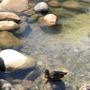 Camp Three Campground - Campgrounds Near Me - Kernville, California