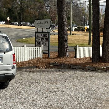 Collier's Nursery - Nurseries & Gardening Near Me - Birmingham, Alabama