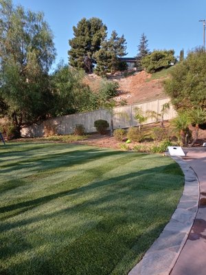 Lawn Care and Maintenance - Mateo Diego - Lawn Care and Maintenance - Mateo Diego Lawn Care and Maintenance - Mateo Diego - Lawn Care and Maintenance - Mateo Diego