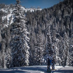 Teton Backcountry Rentals - Splitboarding