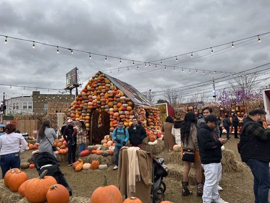 Jack's Pumpkin Pop-up by null