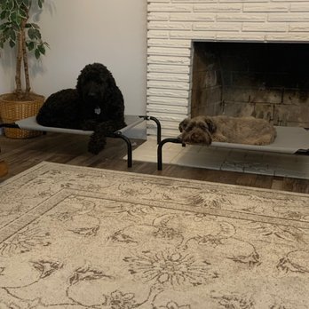 Sit Means Sit - Pet Training Near Me Sit Means Sit - Pet Training Near Me