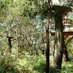 The Enchanted Maze Garden - Tree surfing