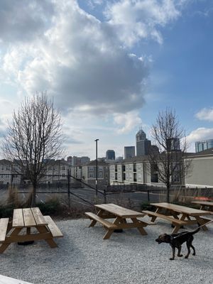 Metazoa Brewing Company by null