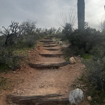 Saguaro National Park - Spur trail to outlook - Parks Near Me - Tucson, Arizona Saguaro National Park - Spur trail to outlook - Parks Near Me - Tucson, Arizona
