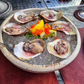 MILA Restaurant - Oysters - Mediterranean Near Me - Miami Beach, Florida MILA Restaurant - Oysters - Mediterranean Near Me - Miami Beach, Florida