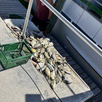 Marathon Lady - The whole boat's catch of fish - Fishing Near Me - Marathon, Florida