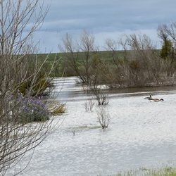Riverbottom Park