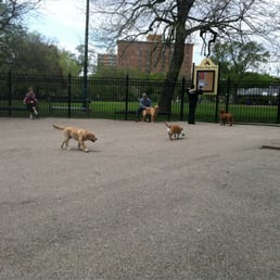Nice big area for the dogs to run around. Nice big area for the dogs to run around.
