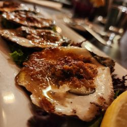 Oysters
