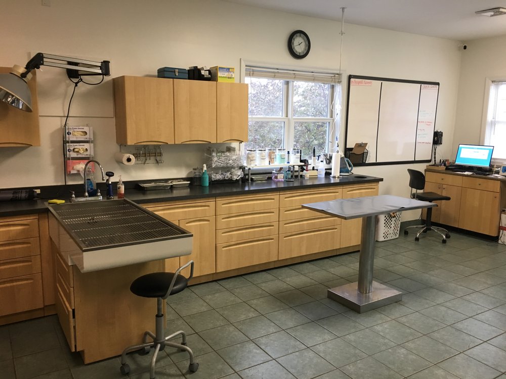 HUDSON VETERINARY HOSPITAL Updated October 2024 33 Reviews 176 N