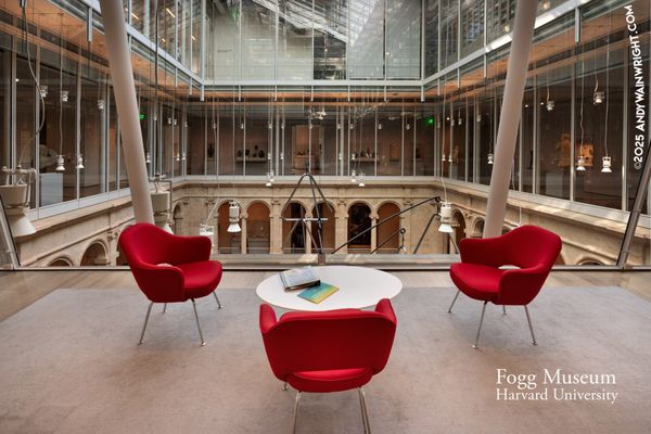 Harvard Art Museums by null