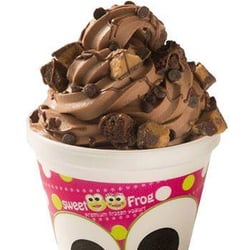 sweetFrog Premium Frozen Yogurt - A heaping helping of Chocolaty-good yogurt at sweetFrog - Premium Frozen Yogurt in Frankfort, IL