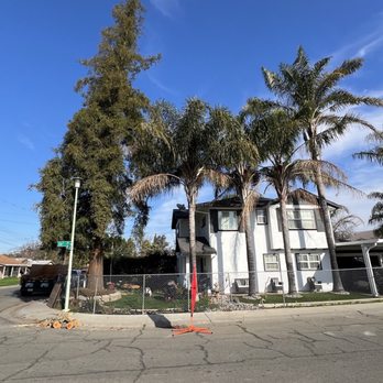 Ceballos Tree Services - Tree Services Near Me Ceballos Tree Services - Tree Services Near Me