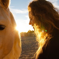 Equuslibere
