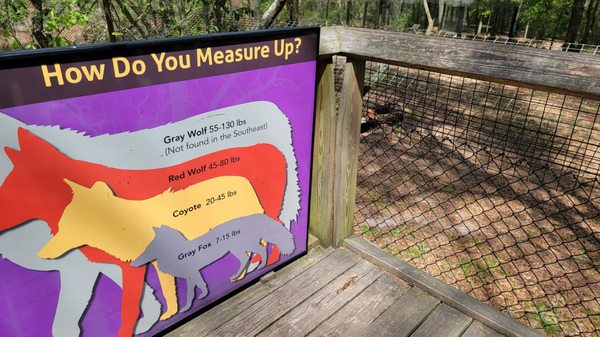 Tallahassee Museum by null