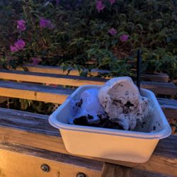 Vía Láctea Scoop Shop - A brownie sundae including coffee chip, pea flower tea and ginger hiding underneath, with the flowers from the patio in the background.