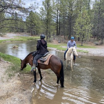 Wilderness Horse Adventures - Cactus & Maverick cooling off their hooves - Horseback Riding Near Me - Bend, Oregon Wilderness Horse Adventures - Cactus & Maverick cooling off their hooves - Horseback Riding Near Me - Bend, Oregon