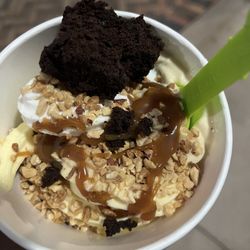 Menchie's Frozen Yogurt - Vanilla tart