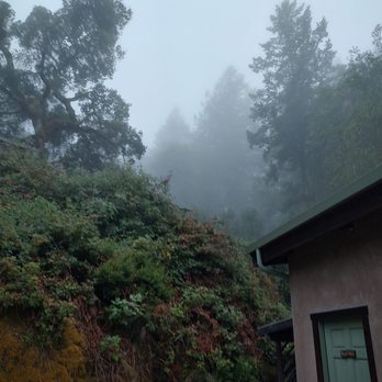Occidental Arts & Ecology Center - Misty Morning - Community Service/Non-Profit Near Me - Occidental, California