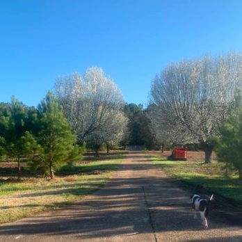 SK Farms Land Management - Lawn Services Near Me SK Farms Land Management - Lawn Services Near Me