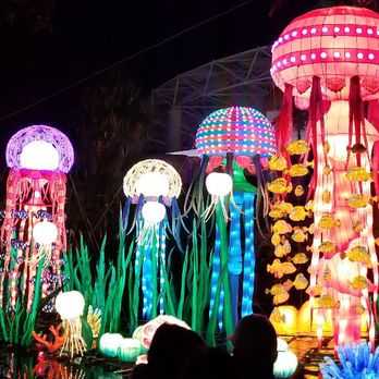 Jungle Island - Amusement Parks Near Me - Miami, Florida Jungle Island - Amusement Parks Near Me - Miami, Florida