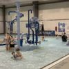 Skaneateles Community Center gift card