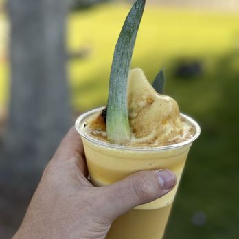 The Tropical Hideaway - Dole pineapple ginger mint float - Ice Cream & Frozen Yogurt Near Me - Anaheim, California The Tropical Hideaway - Dole pineapple ginger mint float - Ice Cream & Frozen Yogurt Near Me - Anaheim, California