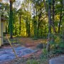 Photo of Luis Professional Tree Services