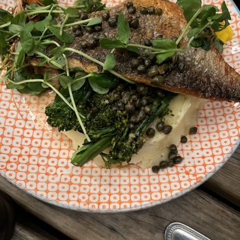 The Hemingway - Sea bass - Pubs Near Me - London, XGL The Hemingway - Sea bass - Pubs Near Me - London, XGL