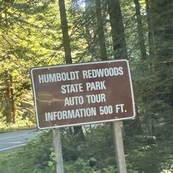 Humboldt Redwoods State Park