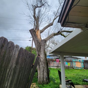 Easy Stumps Tree Services - Half way there - Tree Services Near Me - Folsom, California