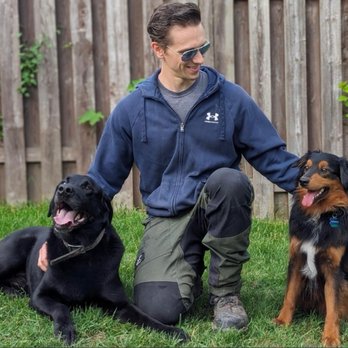Fast Track Canine - Pet Training Near Me Fast Track Canine - Pet Training Near Me