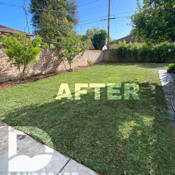 D Landscape & Hardscape - After - Landscaping Near Me