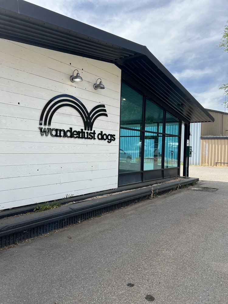 Wanderlust Dogs - Eagle Image