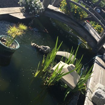 Pemberton Farms - Nurseries & Gardening Near Me - Cambridge, Massachusetts